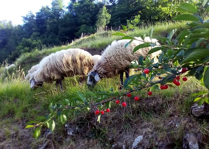 Apartment Casa Millin Borzonasca