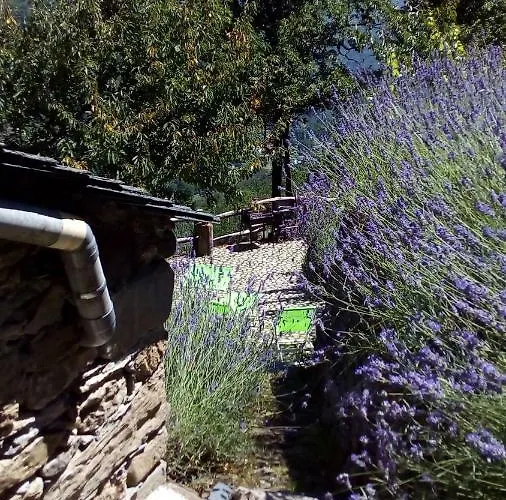 Casa Millin Apartment *