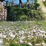 Casa Millin Borzonasca