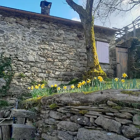 아파트 Casa Millin 보르조나사