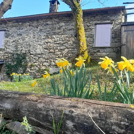 Casa Millin 아파트 보르조나사