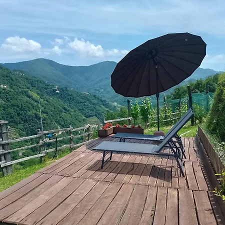 Casa Millin
